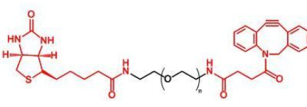 Biotin-PEG-DBCO；生物素聚乙二醇二苯基环辛炔 