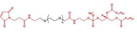 DSPE-PEG-MAL；磷脂聚乙二醇马来酰亚胺；MAL-PEG-DSPE