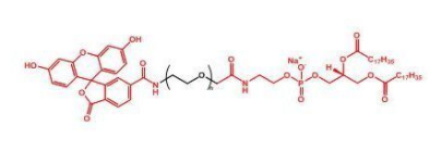 DSPE-PEG-FITC；磷脂-聚乙二醇-荧光素；FITC-PEG-DSPE