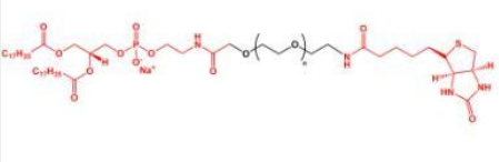 DSPE-PEG-Biotin；磷脂聚乙二醇生物素；生物素聚乙二醇磷脂