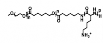 mPEG-PCL-PLL；甲氧基聚乙二醇-聚己内酯-聚赖氨酸mPEG-PCL-PLL；甲氧基聚乙二醇-聚己内酯-聚赖氨酸
