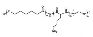 mPEG-PLL-PCL；甲氧基聚乙二醇-聚赖氨酸-聚己内酯