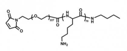 PLL-PEG-MAL；聚赖氨酸聚乙二醇马来酰亚胺