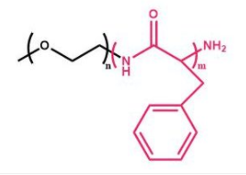 mPEG-b-PPHE；甲氧基聚乙二醇聚苯丙氨酸 