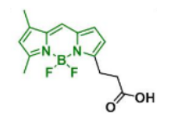 BDP FL acid，165599-63-3