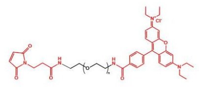 Rhodamine-PEG-MAL；罗丹明聚乙二醇马来酰亚胺；MAL-PEG-Rhodamine