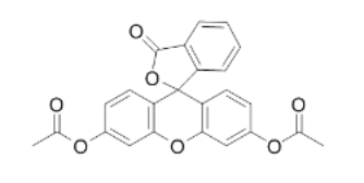 FDA [Fluorescein diacetate]，596-09-8，荧光素二乙酸酯