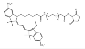 Cy3-PEG-NHS ester；Cy3-聚乙二醇-琥珀酰亚胺酯