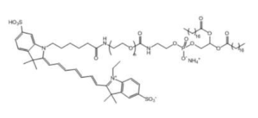 Cy7-PEG-DSPE，Cy7-聚乙二醇-二硬脂酰基磷脂酰乙醇胺