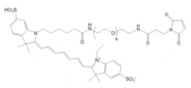 Cy7-PEG-Mal；Cy7-聚乙二醇-马来酰亚胺；Cy7-PEG-Maleimide