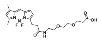 BODIPY FL-PEG2-COOH的基本信息