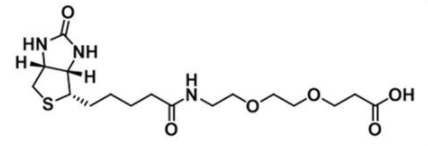 Biotin-PEG2-Acid；1365655-89-5；生物素-二聚乙二醇-羧基