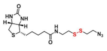 Biotin-SS-azide；生物素-二硫-叠氮；1620523-64-9