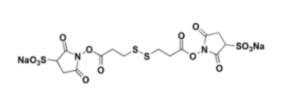 DTSSP；81069-02-5；3,3'-二硫代双(磺酸琥珀酰亚氨基丙酸酯)