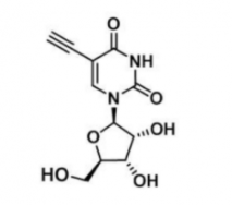 5-Ethynyl-uridine，69075-42-9，5-乙炔基尿苷