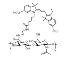 HA-Cy3； 透明质酸-花菁染料Cy3；Cy3标记透明质酸