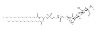 HA-PEG-DSPE；透明质酸-聚乙二醇-磷脂；DSPE-PEG-HA