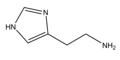 组胺偶联牛血清蛋白；Histamine-BSA；牛血清蛋白修饰组胺