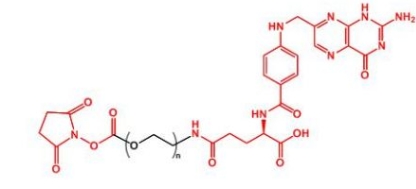 Folate-PEG-NHS FA-PEG-NHS  活性酯聚乙二醇叶酸