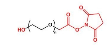HO-PEG-NHS NHS-PEG-OH  羟基聚乙二醇活性酯 