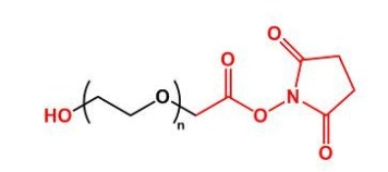 HO-PEG-NHS NHS-PEG-OH  羟基聚乙二醇活性酯