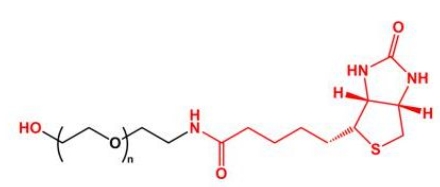  HO-PEG-Biotin Biotin-PEG-OH  羟基聚乙二醇生物素