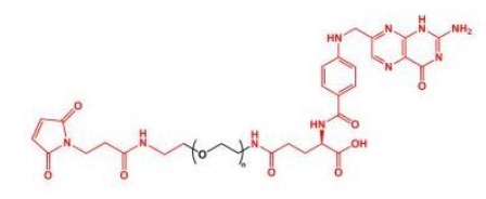  MAL-PEG-FA Folate-PEG-Mal  叶酸聚乙二醇马来酰亚胺 