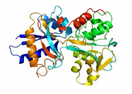 油相NaYbF4纳米粒子；Oil phase NaYbF4 nanoparticles