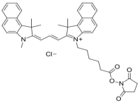 sulfo CY3.5 NHS；水溶性花青素CY3.5活性酯；Sulfo-Cy3.5 NHS ester