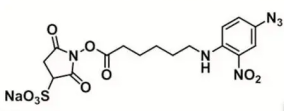 Sulfo-SANPAH Crosslinker；6-[(4-叠氮-2-硝基苯基)氨基]己酸磺酸基琥珀酰亚胺酯
