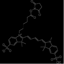 Sulfo-Cy3 NHS ester；磺化Cy3活化酯