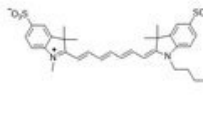 sulfo Cy7 alkyne；2183440-55-1；磺化Cy7炔烃