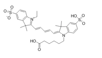 Cy5 (CAS:146368-11-8)；花青素荧光染料CY5