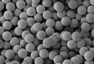 链霉亲和素磁珠 100nm；Streptomyces avidin polystyrene microspheres