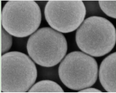 羧基修饰聚苯乙烯微球50nm；AIE绿色荧光羧基修饰聚苯乙烯微球