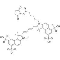 Sulfo-Cy5.5 NHS ester；442912-55-2；Cy5.5-N-羟基琥珀酰亚胺酯