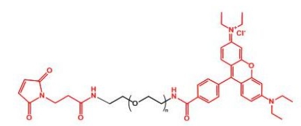  Rhodamine-PEG-MAL MAL-PEG-Rhodamine 罗丹明聚乙二醇马来酰亚胺