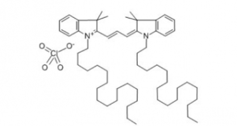 41085-99-8 DiI perchlorate DiI高氯酸盐