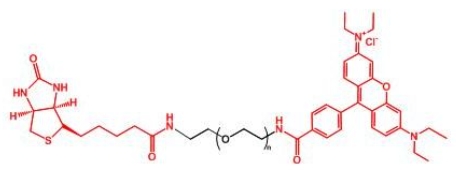 RB-PEG-BN Rhodamine-PEG-BIOTIN 罗丹明聚乙二醇生物素