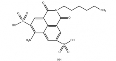 149733-79-9 Lucifer Yellow Cadaverine 149733-79-9