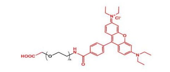 罗丹明聚乙二醇羧基 Rhodamine-PEG-COOH