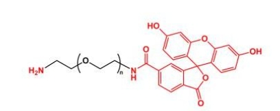 NH2-PEG-FITC Amine-PEG-FITC 荧光素聚乙二醇氨基