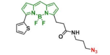 BDP 558/568 N3 BDP 558/568 Azide  C19H19BF2N6OS
