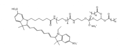 Cy7-PEG-DSPE Cy7-聚乙二醇-二硬脂酰基磷脂酰乙醇胺