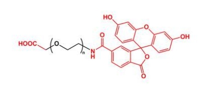 FITC-PEG-COOH COOH-PEG-FITC 荧光素聚乙二醇羧基