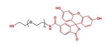 SH-PEG-FITC Thiol-PEG-FITC 荧光素聚乙二醇巯基