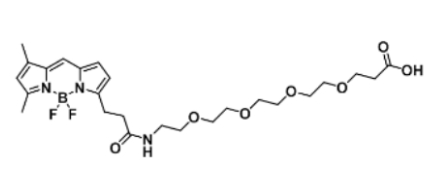 BODIPY FL-PEG4-COOH C25H36BF2N3O7