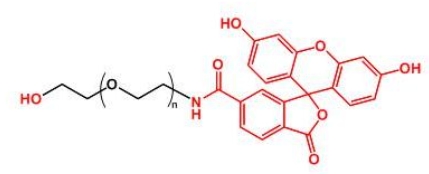 FITC-PEG-OH HO-PEG-FITC 荧光素聚乙二醇羟基