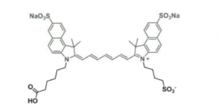 trisulfo-ICG carboxylic acid/水溶性ICG COOH，水溶性吲哚菁绿-羧基