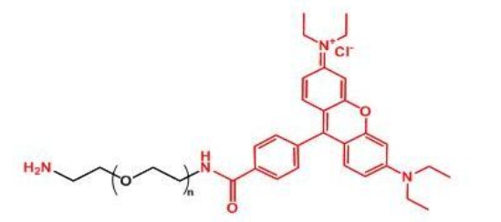 罗丹明聚乙二醇氨基 Rhodamine-PEG-NH2